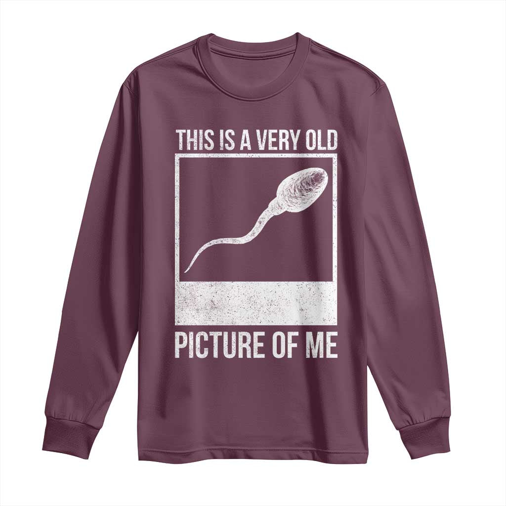 Funny This Is A Very Old Picture Of Me Long Sleeve Shirt Adult Humor Gag Gift TS11 Maroon Print Your Wear