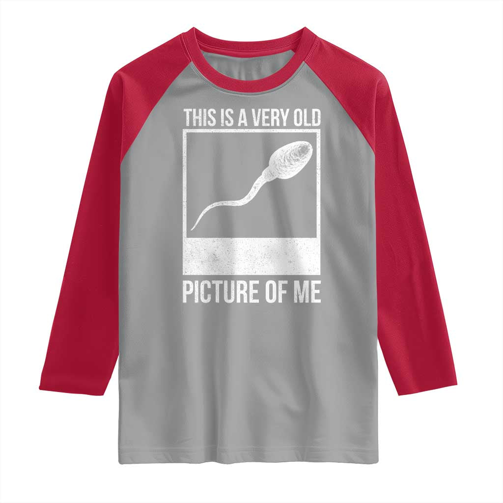 Funny This Is A Very Old Picture Of Me Raglan Shirt Adult Humor Gag Gift TS11 Sport Gray Red Print Your Wear