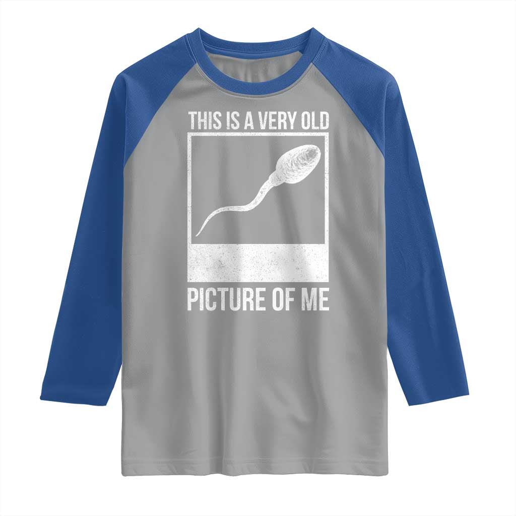 Funny This Is A Very Old Picture Of Me Raglan Shirt Adult Humor Gag Gift TS11 Sport Gray Royal Print Your Wear