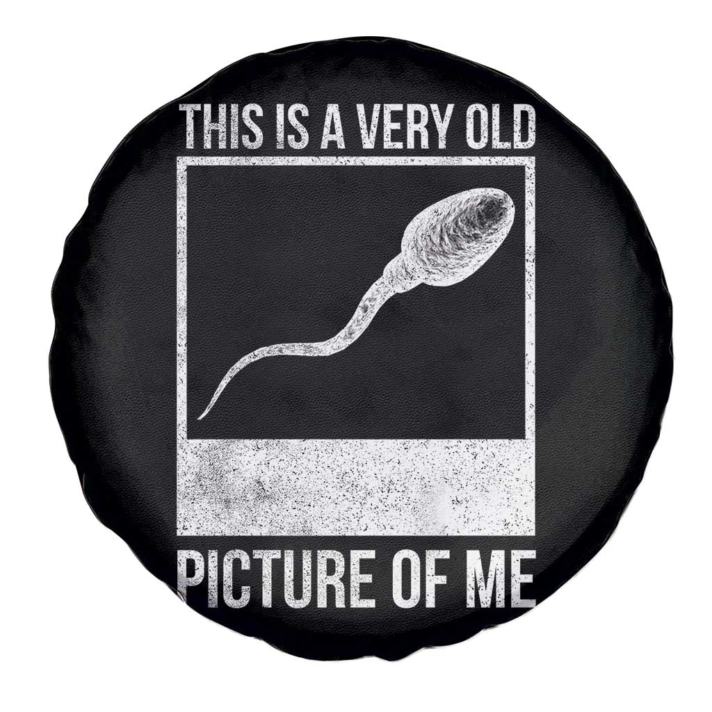 Funny This Is A Very Old Picture Of Me Spare Tire Cover Adult Humor Gag Gift TS11 Print Your Wear