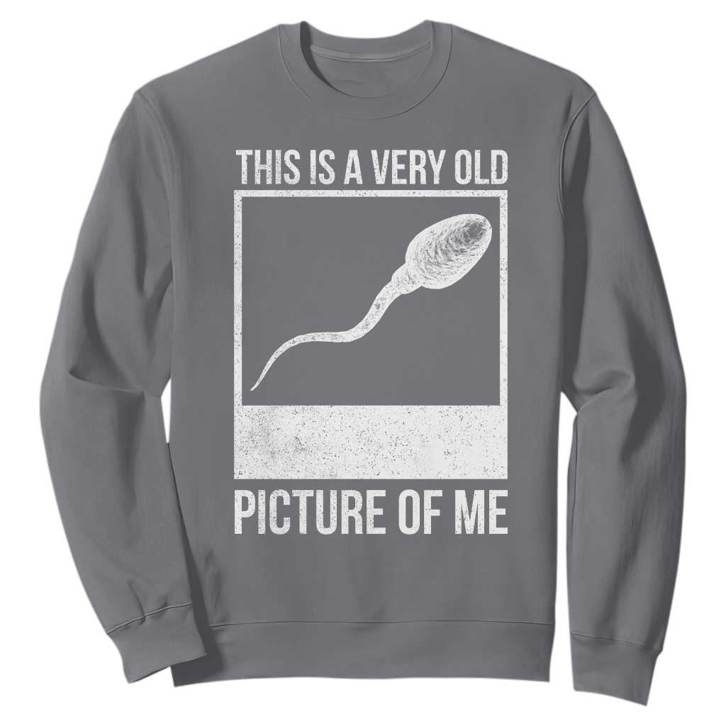 Funny This Is A Very Old Picture Of Me Sweatshirt Adult Humor Gag Gift TS11 Charcoal Print Your Wear