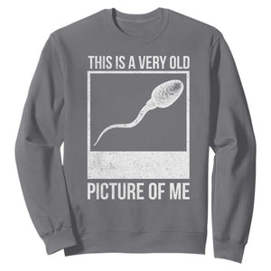 Funny This Is A Very Old Picture Of Me Sweatshirt Adult Humor Gag Gift TS11 Charcoal Print Your Wear