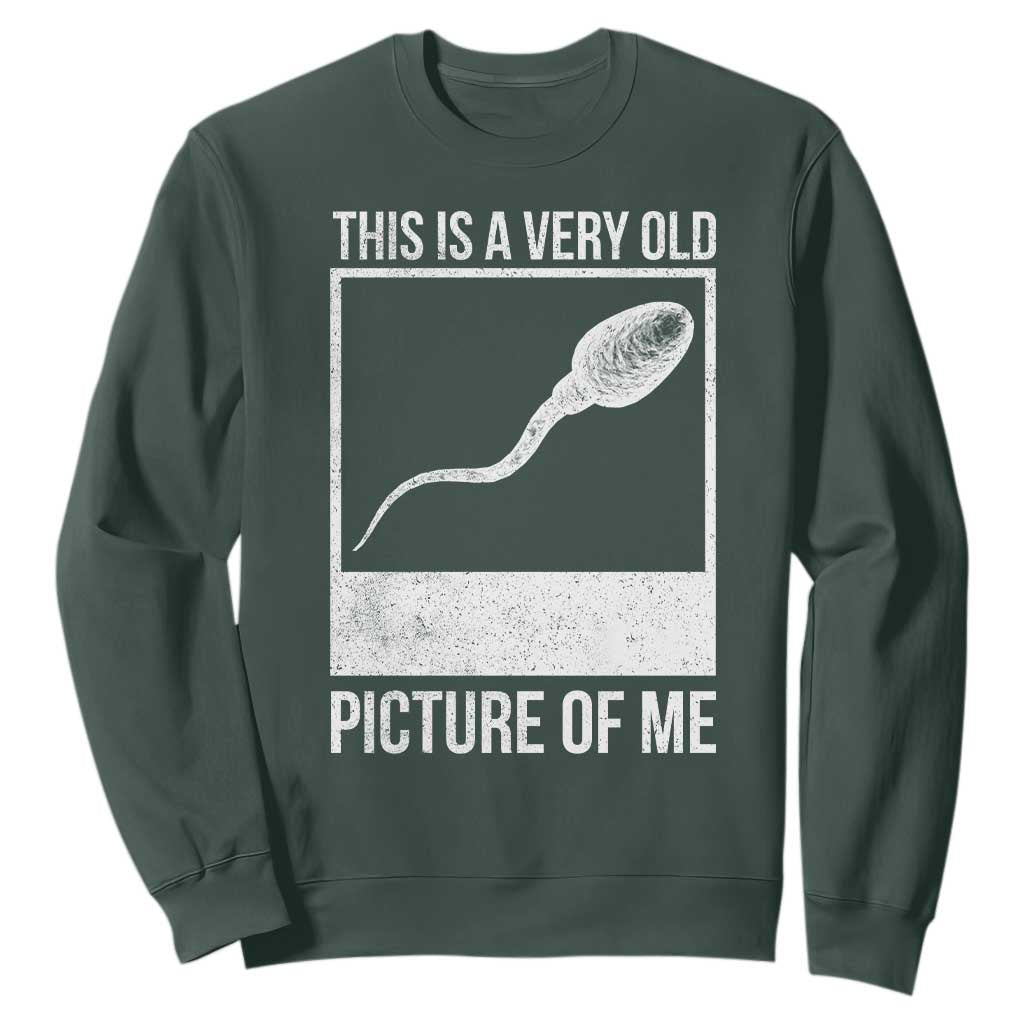 Funny This Is A Very Old Picture Of Me Sweatshirt Adult Humor Gag Gift TS11 Dark Forest Green Print Your Wear
