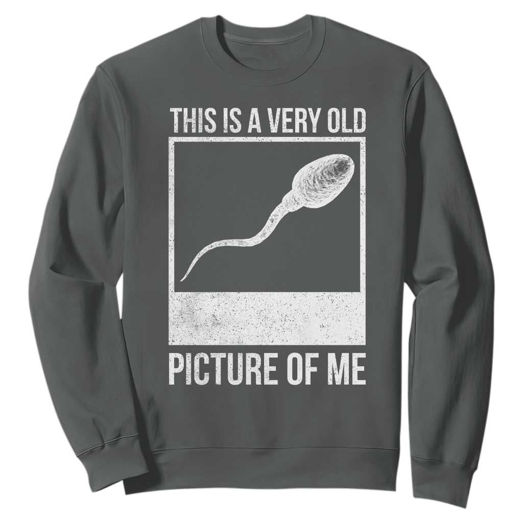 Funny This Is A Very Old Picture Of Me Sweatshirt Adult Humor Gag Gift TS11 Dark Heather Print Your Wear