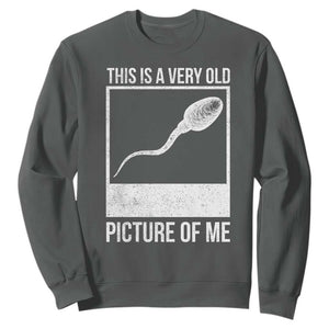 Funny This Is A Very Old Picture Of Me Sweatshirt Adult Humor Gag Gift TS11 Dark Heather Print Your Wear
