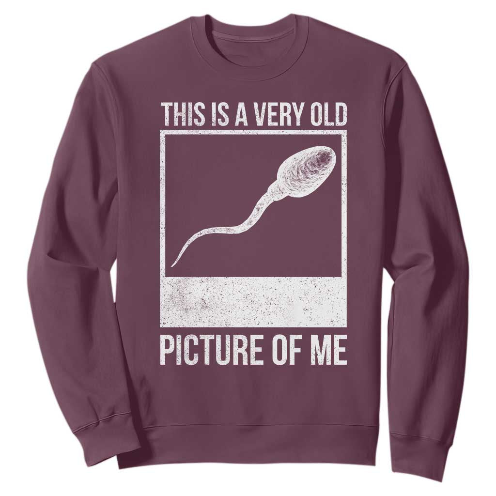 Funny This Is A Very Old Picture Of Me Sweatshirt Adult Humor Gag Gift TS11 Maroon Print Your Wear