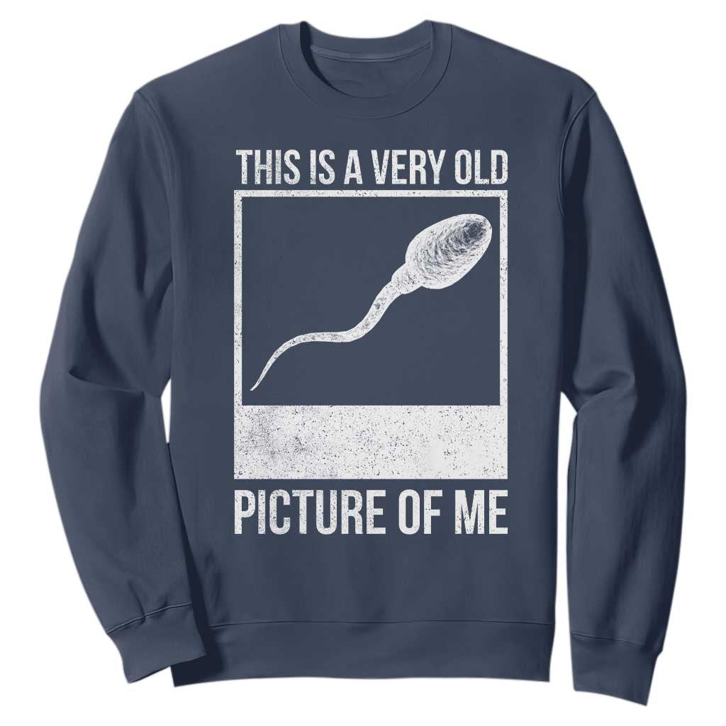 Funny This Is A Very Old Picture Of Me Sweatshirt Adult Humor Gag Gift TS11 Navy Print Your Wear