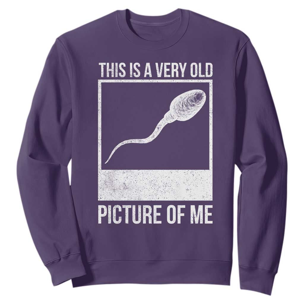Funny This Is A Very Old Picture Of Me Sweatshirt Adult Humor Gag Gift TS11 Purple Print Your Wear