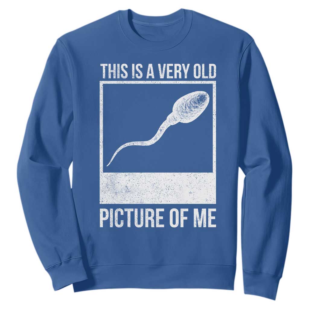 Funny This Is A Very Old Picture Of Me Sweatshirt Adult Humor Gag Gift TS11 Royal Blue Print Your Wear