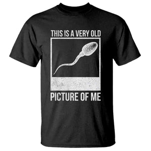 Funny This Is A Very Old Picture Of Me T Shirt Adult Humor Gag Gift TS11 Black Print Your Wear