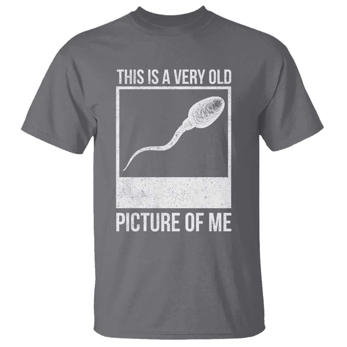 Funny This Is A Very Old Picture Of Me T Shirt Adult Humor Gag Gift TS11 Charcoal Print Your Wear