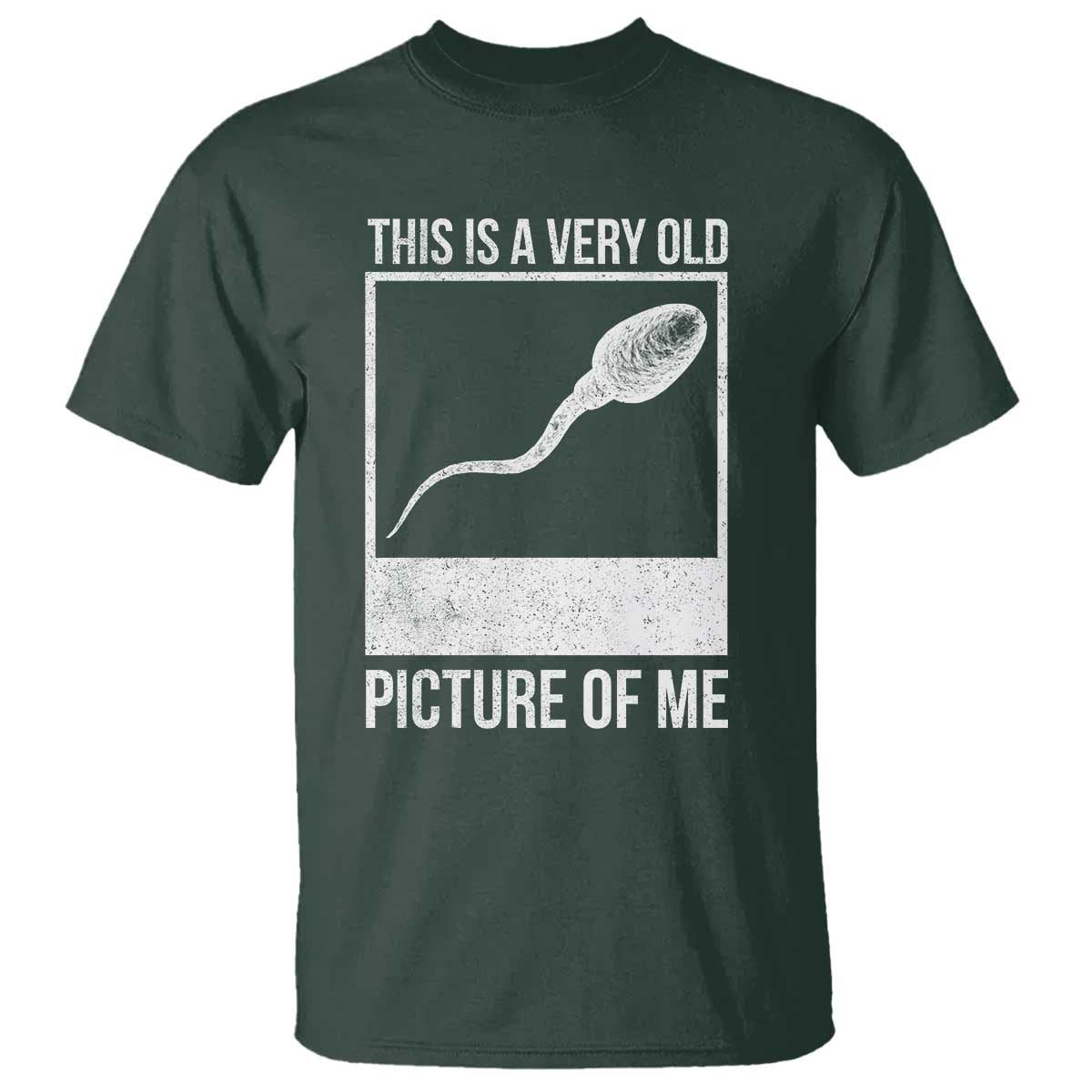 Funny This Is A Very Old Picture Of Me T Shirt Adult Humor Gag Gift TS11 Dark Forest Green Print Your Wear