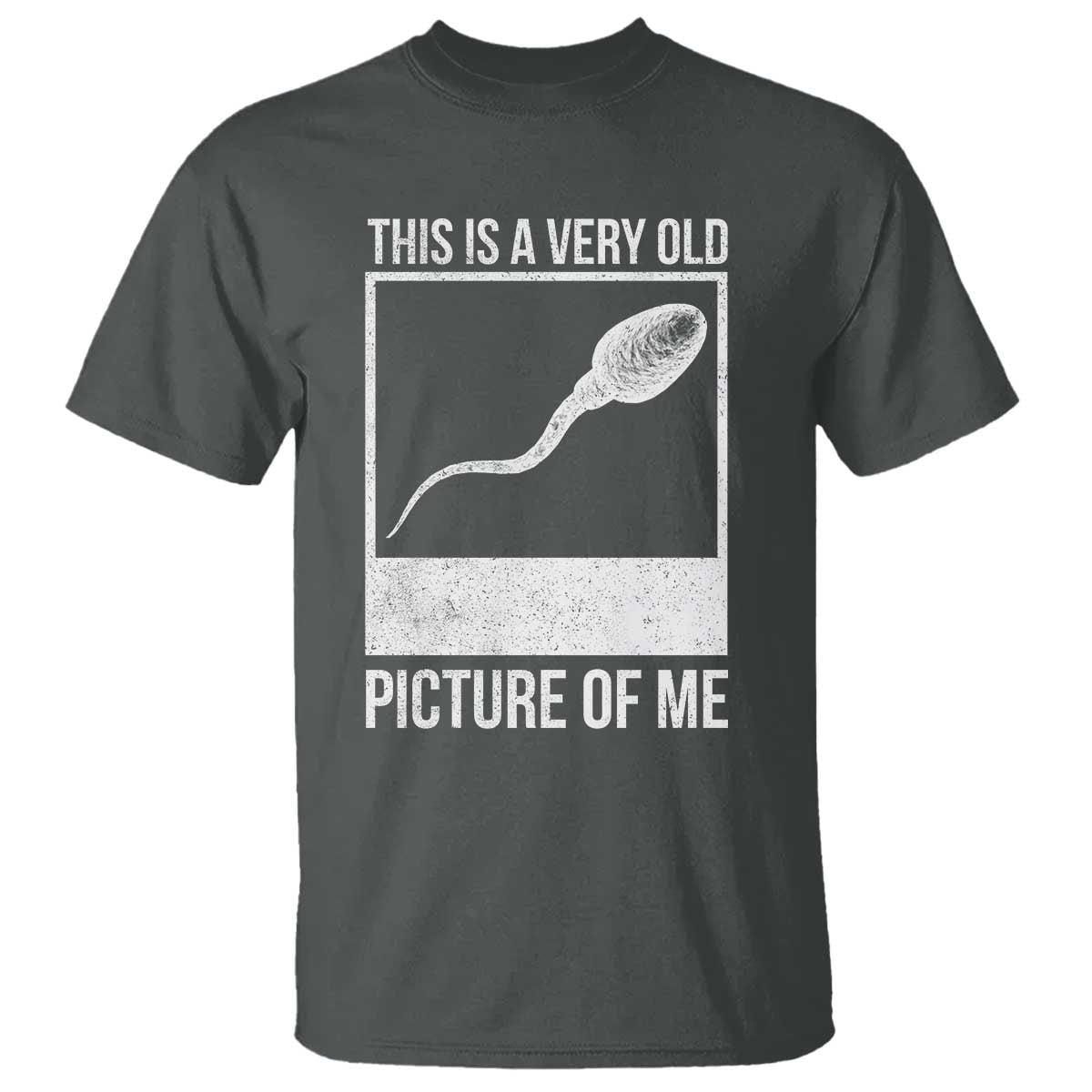 Funny This Is A Very Old Picture Of Me T Shirt Adult Humor Gag Gift TS11 Dark Heather Print Your Wear