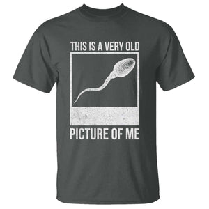 Funny This Is A Very Old Picture Of Me T Shirt Adult Humor Gag Gift TS11 Dark Heather Print Your Wear