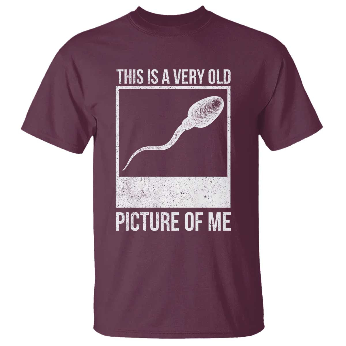 Funny This Is A Very Old Picture Of Me T Shirt Adult Humor Gag Gift TS11 Maroon Print Your Wear