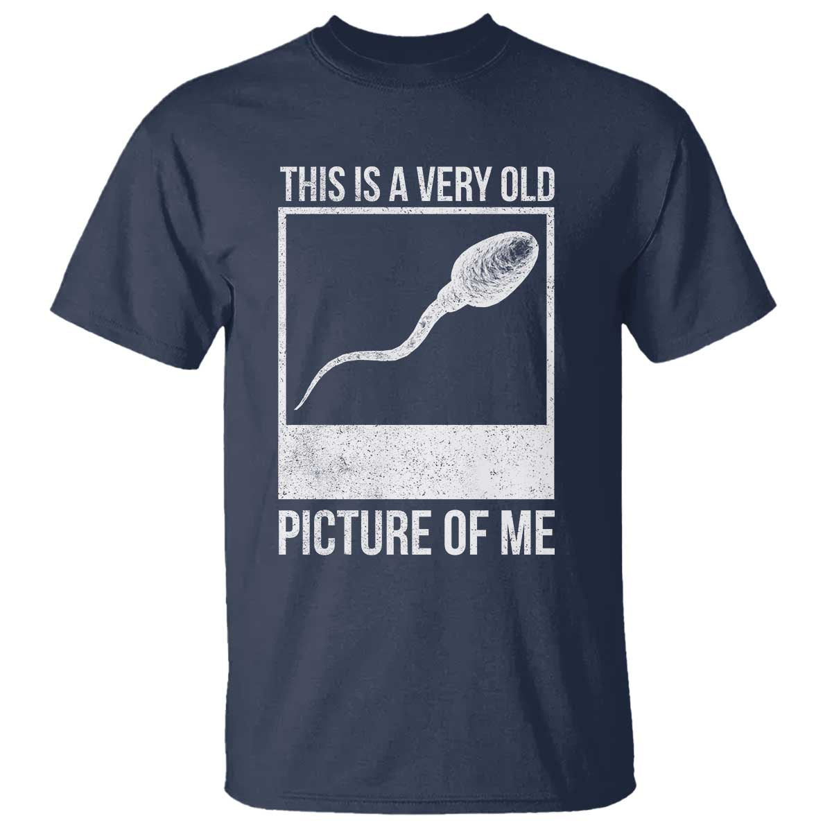 Funny This Is A Very Old Picture Of Me T Shirt Adult Humor Gag Gift TS11 Navy Print Your Wear