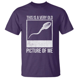 Funny This Is A Very Old Picture Of Me T Shirt Adult Humor Gag Gift TS11 Purple Print Your Wear