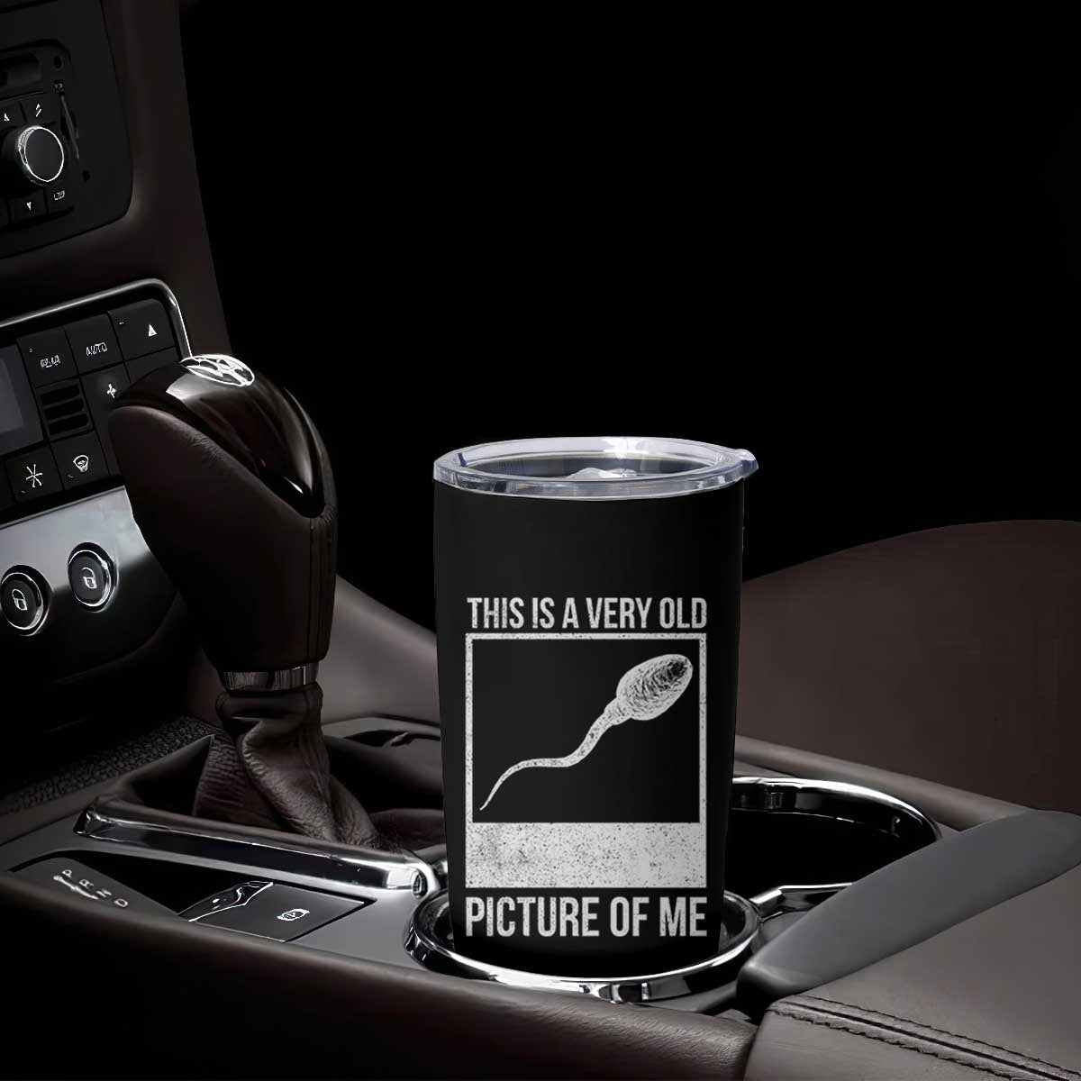 Funny This Is A Very Old Picture Of Me Tumbler Cup Adult Humor Gag Gift TS11 Print Your Wear