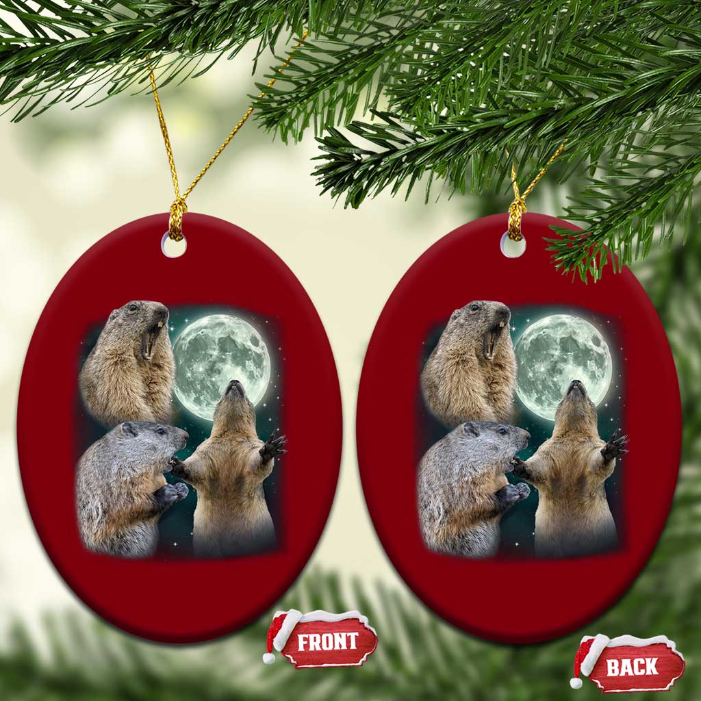 Funny Three Groundhog Moon Groundhog Day Meme Ceramic Ornament TS11 Print Your Wear