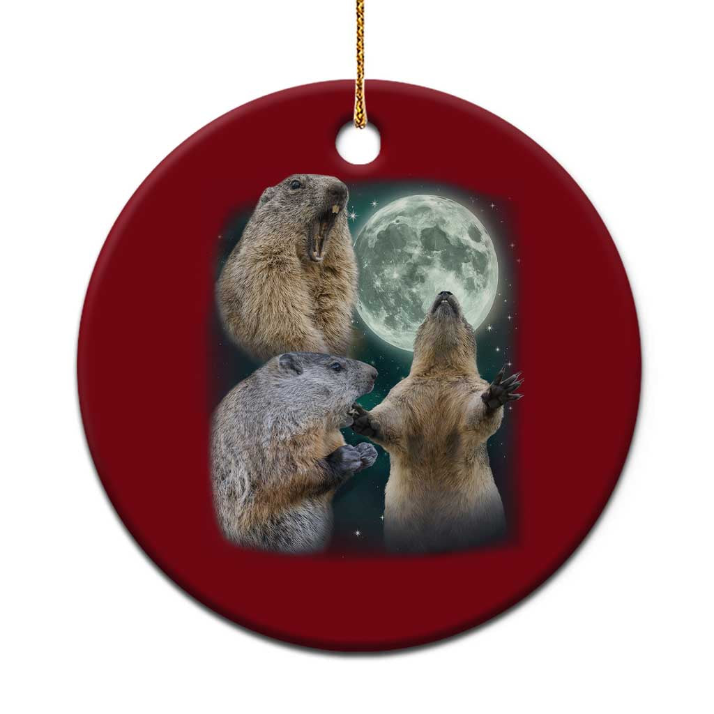 Funny Three Groundhog Moon Groundhog Day Meme Ceramic Ornament TS11 1pc Red Print Your Wear