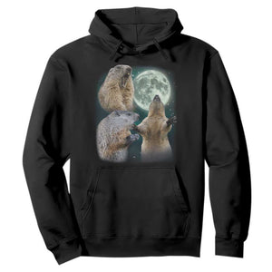 Funny Three Groundhog Moon Groundhog Day Meme Hoodie TS11 Black Print Your Wear