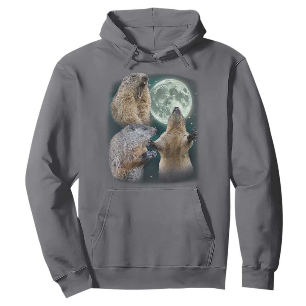 Funny Three Groundhog Moon Groundhog Day Meme Hoodie TS11 Charcoal Print Your Wear