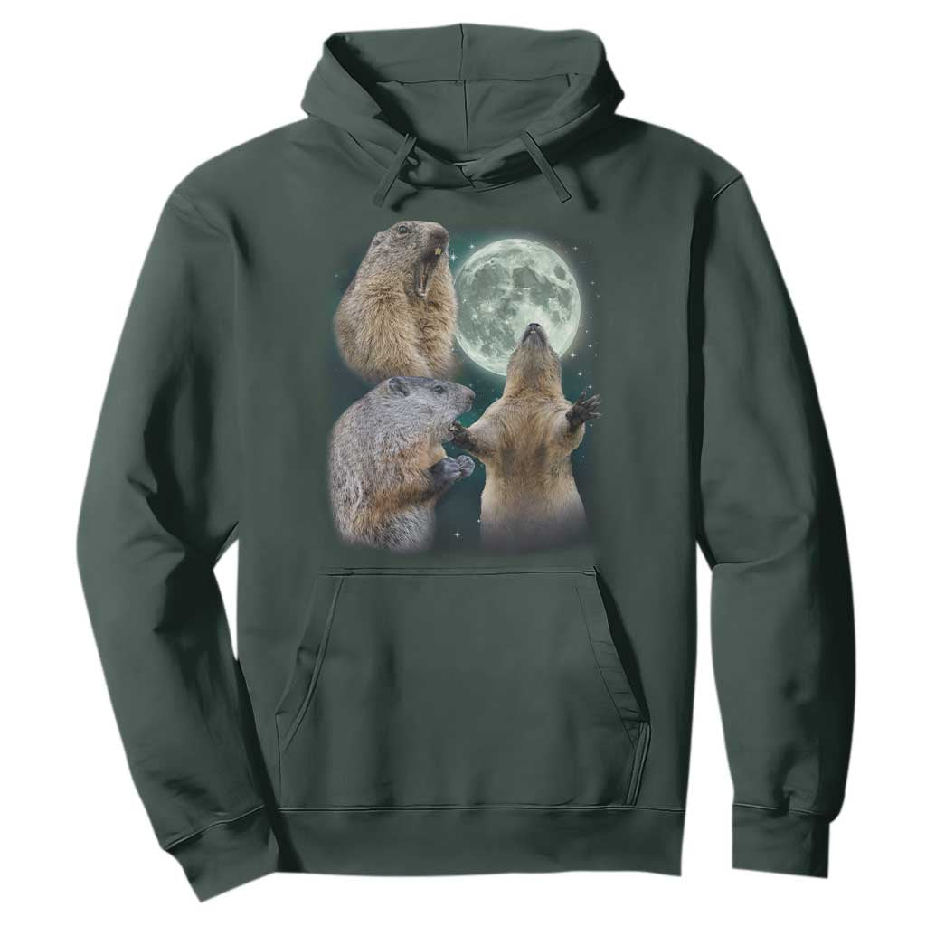 Funny Three Groundhog Moon Groundhog Day Meme Hoodie TS11 Dark Forest Green Print Your Wear