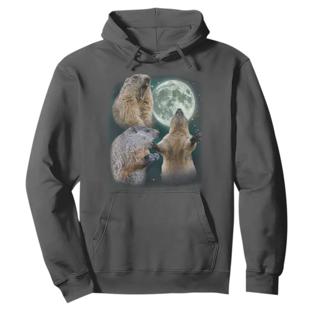 Funny Three Groundhog Moon Groundhog Day Meme Hoodie TS11 Dark Heather Print Your Wear