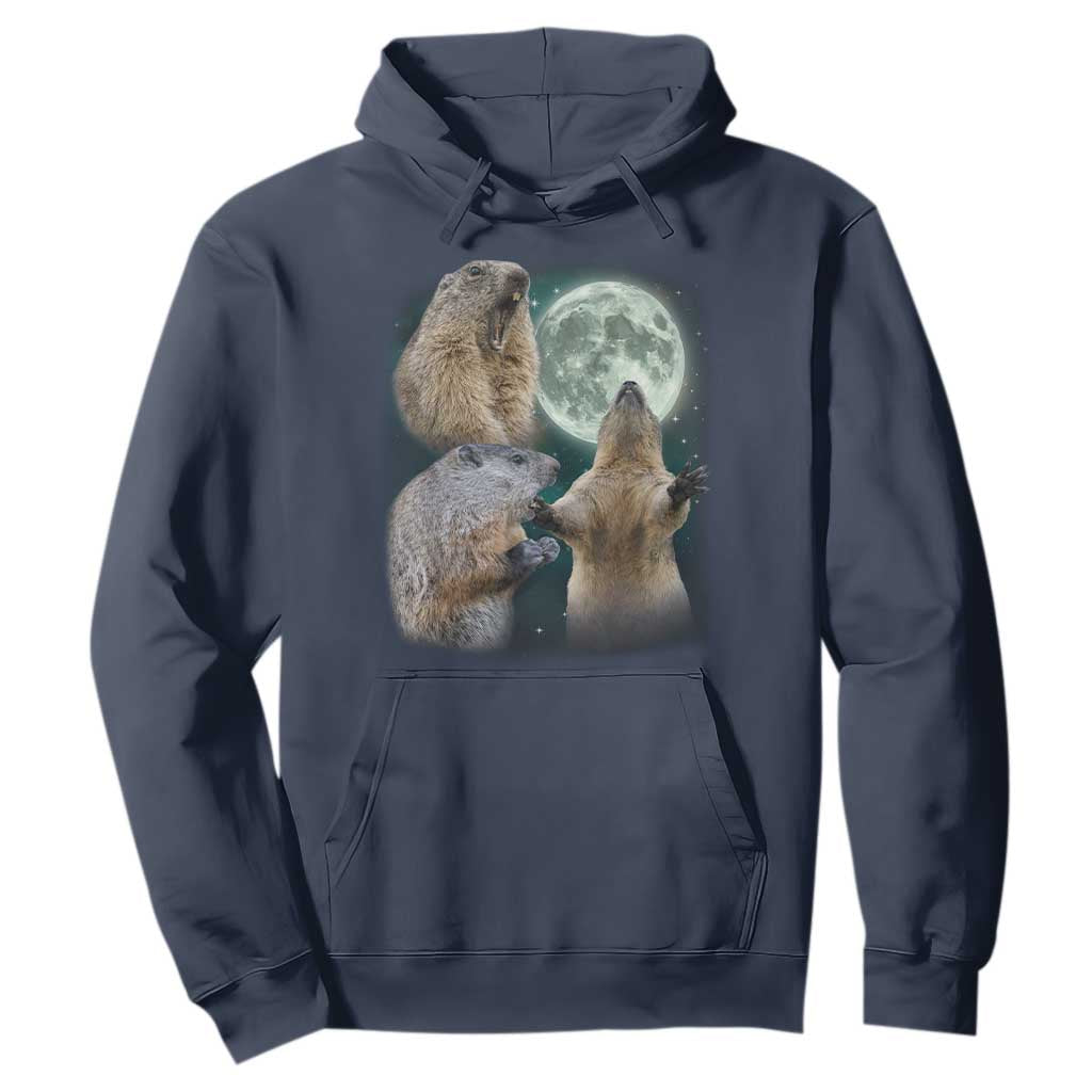 Funny Three Groundhog Moon Groundhog Day Meme Hoodie TS11 Navy Print Your Wear