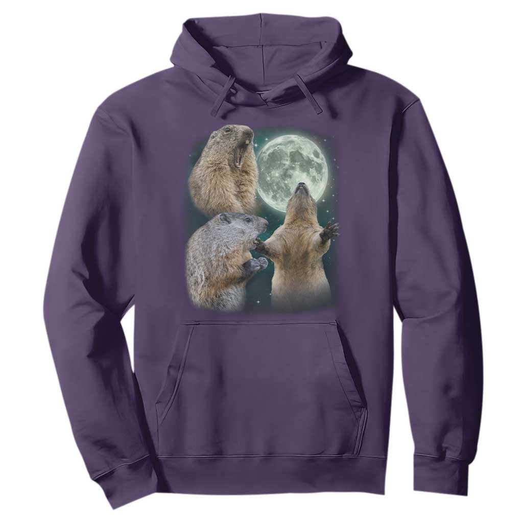 Funny Three Groundhog Moon Groundhog Day Meme Hoodie TS11 Purple Print Your Wear