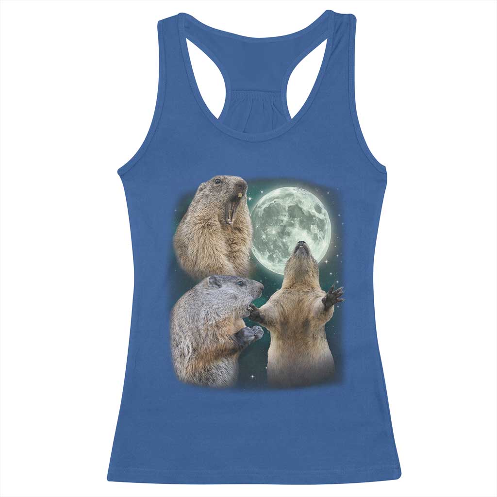 Funny Three Groundhog Moon Groundhog Day Meme Racerback Tank Top TS11 Royal Blue Print Your Wear