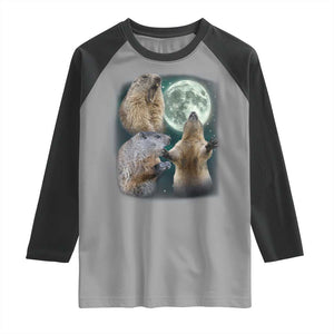 Funny Three Groundhog Moon Groundhog Day Meme Raglan Shirt TS11 Sport Gray Black Print Your Wear