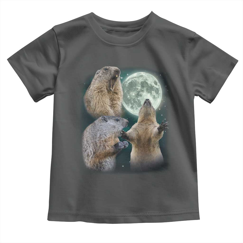 Funny Three Groundhog Moon Toddler T Shirt - Groundhog Day Meme Kids Tee TS11 Dark Heather Print Your Wear