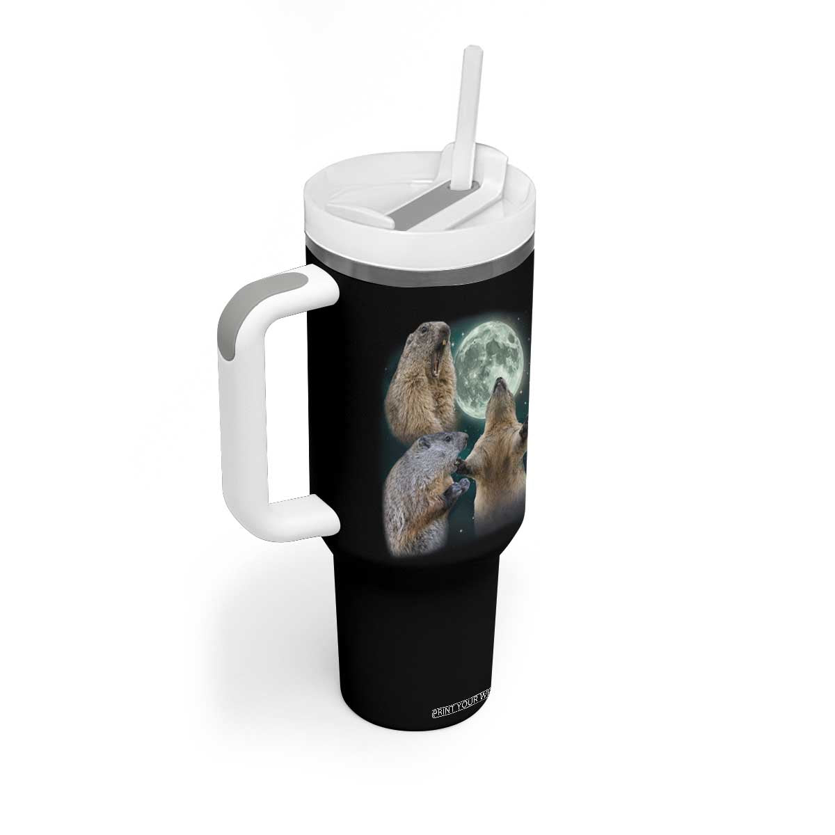 Funny Three Groundhog Moon Groundhog Day Meme Tumbler With Handle TS11 Print Your Wear