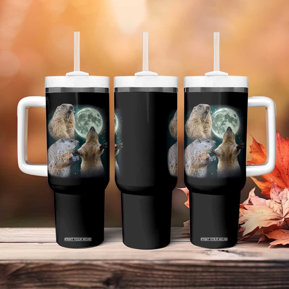 Funny Three Groundhog Moon Groundhog Day Meme Tumbler With Handle TS11 Print Your Wear