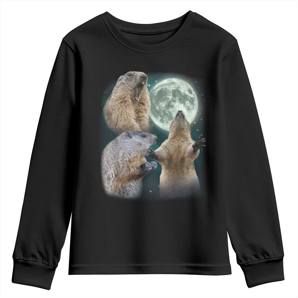 Funny Three Groundhog Moon Groundhog Day Meme Youth Sweatshirt TS11 Black Print Your Wear