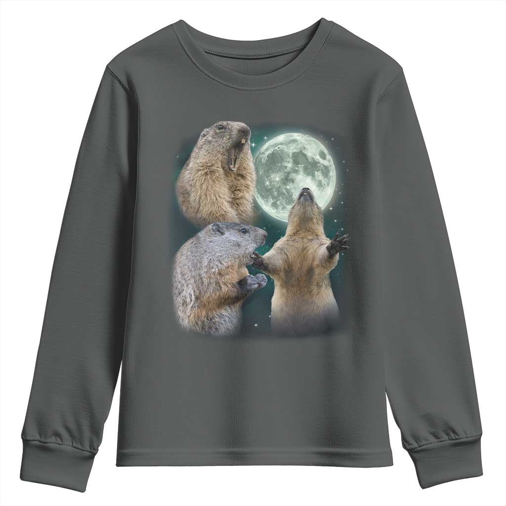 Funny Three Groundhog Moon Groundhog Day Meme Youth Sweatshirt TS11 Dark Heather Print Your Wear