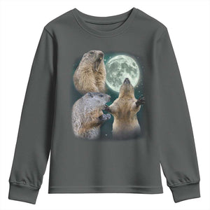 Funny Three Groundhog Moon Groundhog Day Meme Youth Sweatshirt TS11 Dark Heather Print Your Wear