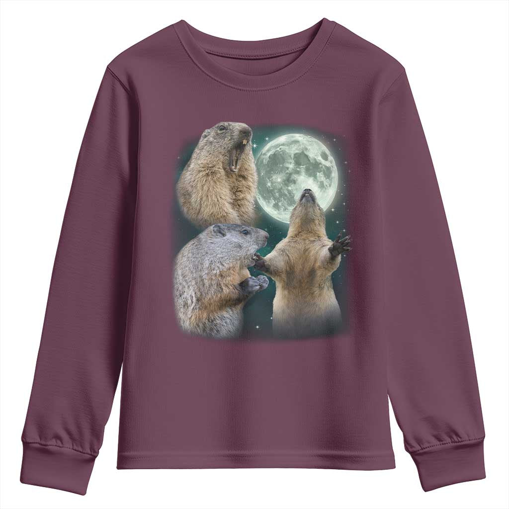 Funny Three Groundhog Moon Groundhog Day Meme Youth Sweatshirt TS11 Maroon Print Your Wear