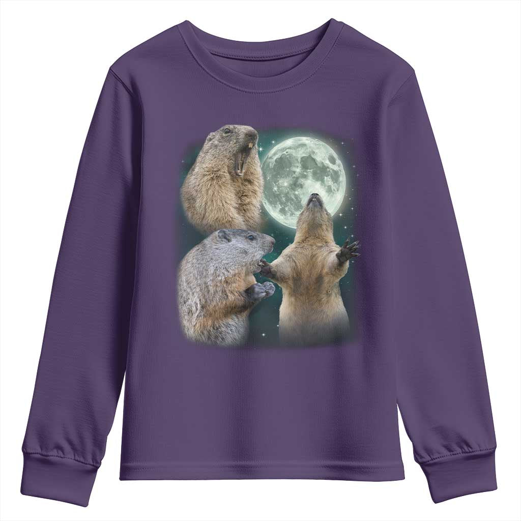 Funny Three Groundhog Moon Groundhog Day Meme Youth Sweatshirt TS11 Purple Print Your Wear