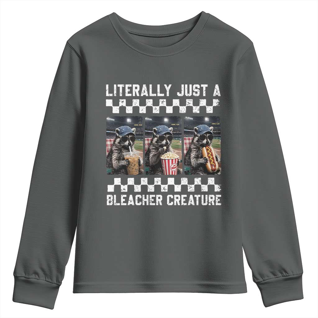 Baseball Raccoon Literally Just a Bleacher Creature Youth Sweatshirt Funny Trash Panda At Ballfield TS11 Dark Heather Print Your Wear