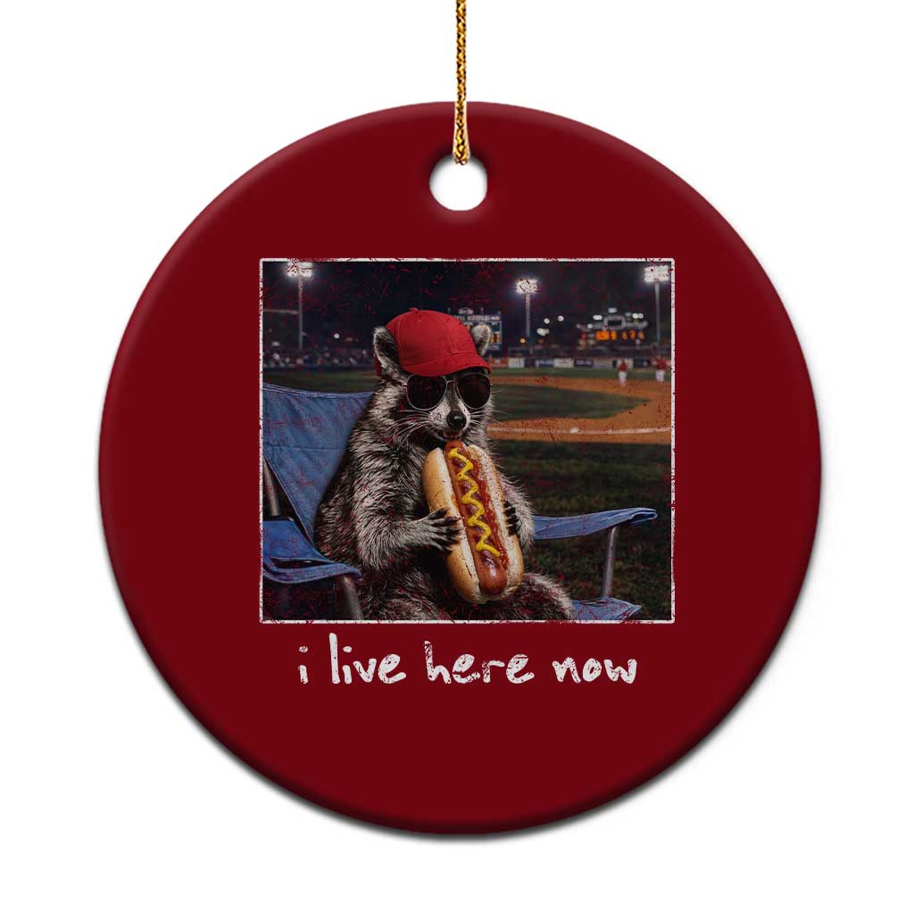 Baseball Raccoon I Live Here Now Ceramic Ornament Funny Trash Panda Eating Hot Dog Ballfield TS11 1pc Red Print Your Wear