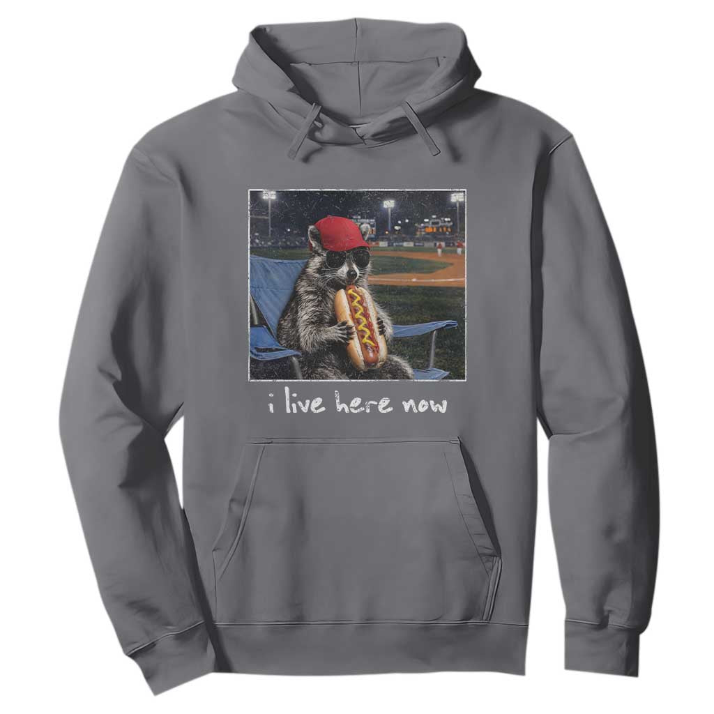 Baseball Raccoon I Live Here Now Hoodie Funny Trash Panda Eating Hot Dog Ballfield TS11 Charcoal Print Your Wear