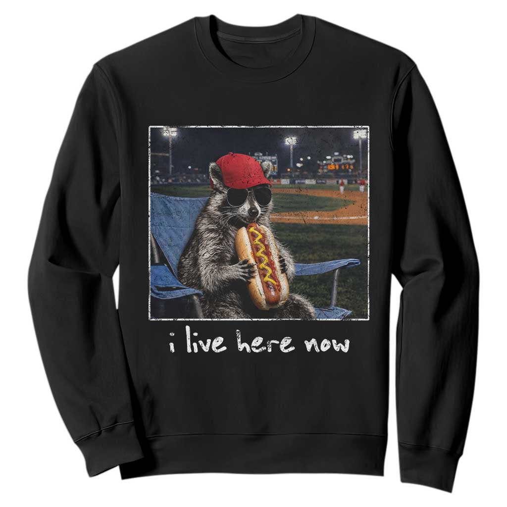 Baseball Raccoon I Live Here Now Sweatshirt Funny Trash Panda Eating Hot Dog Ballfield TS11 Black Print Your Wear