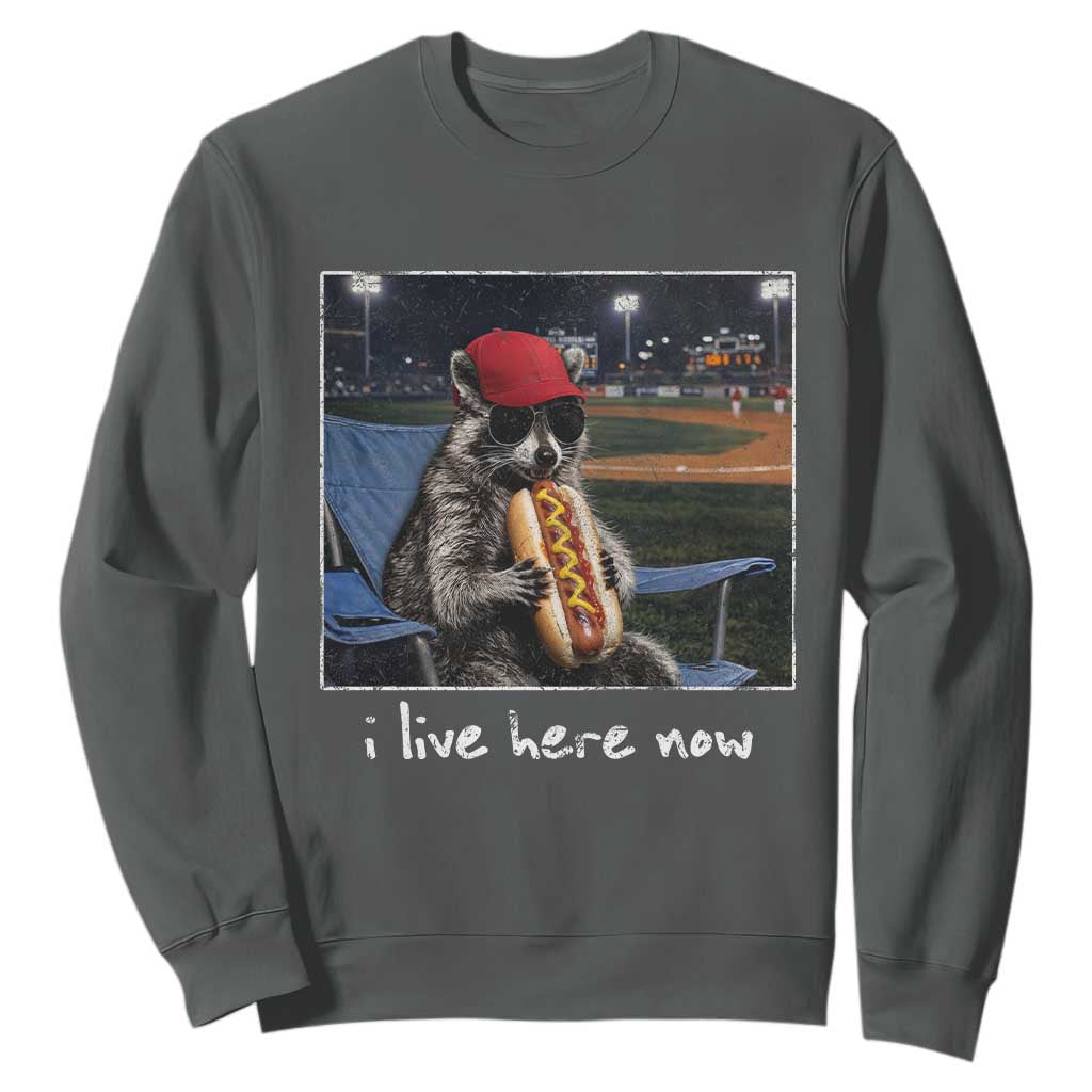 Baseball Raccoon I Live Here Now Sweatshirt Funny Trash Panda Eating Hot Dog Ballfield TS11 Dark Heather Print Your Wear