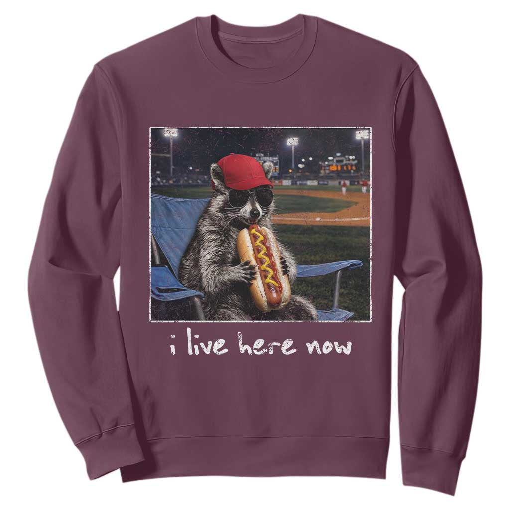 Baseball Raccoon I Live Here Now Sweatshirt Funny Trash Panda Eating Hot Dog Ballfield TS11 Maroon Print Your Wear