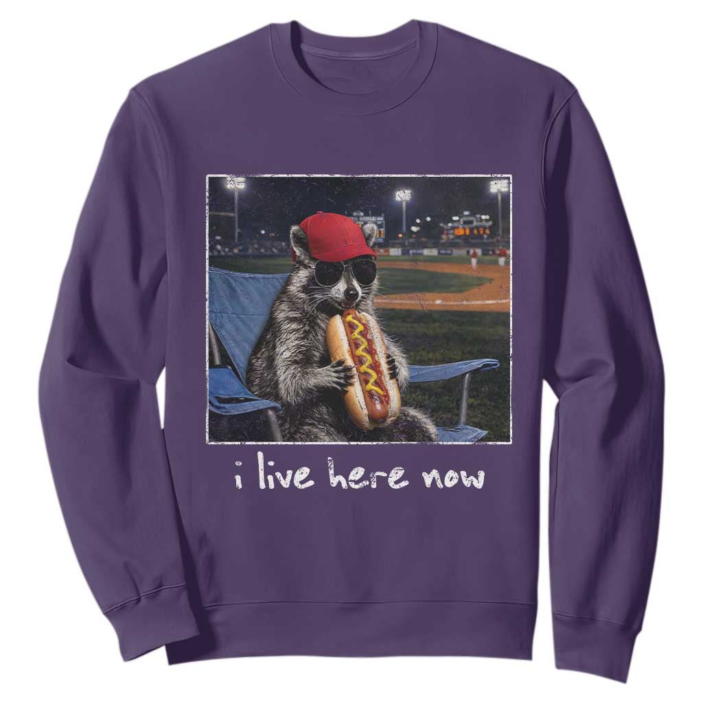 Baseball Raccoon I Live Here Now Sweatshirt Funny Trash Panda Eating Hot Dog Ballfield TS11 Purple Print Your Wear
