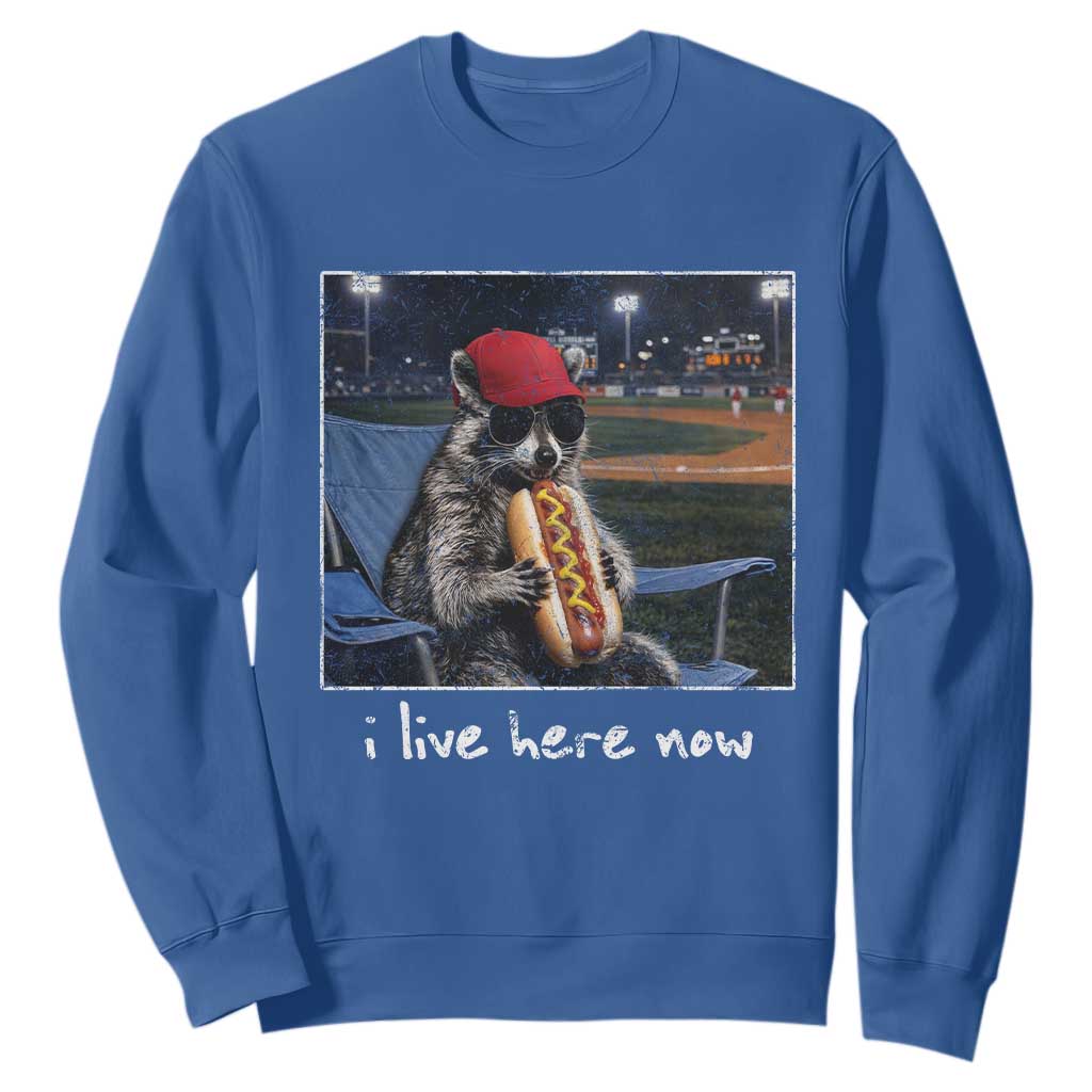Baseball Raccoon I Live Here Now Sweatshirt Funny Trash Panda Eating Hot Dog Ballfield TS11 Royal Blue Print Your Wear