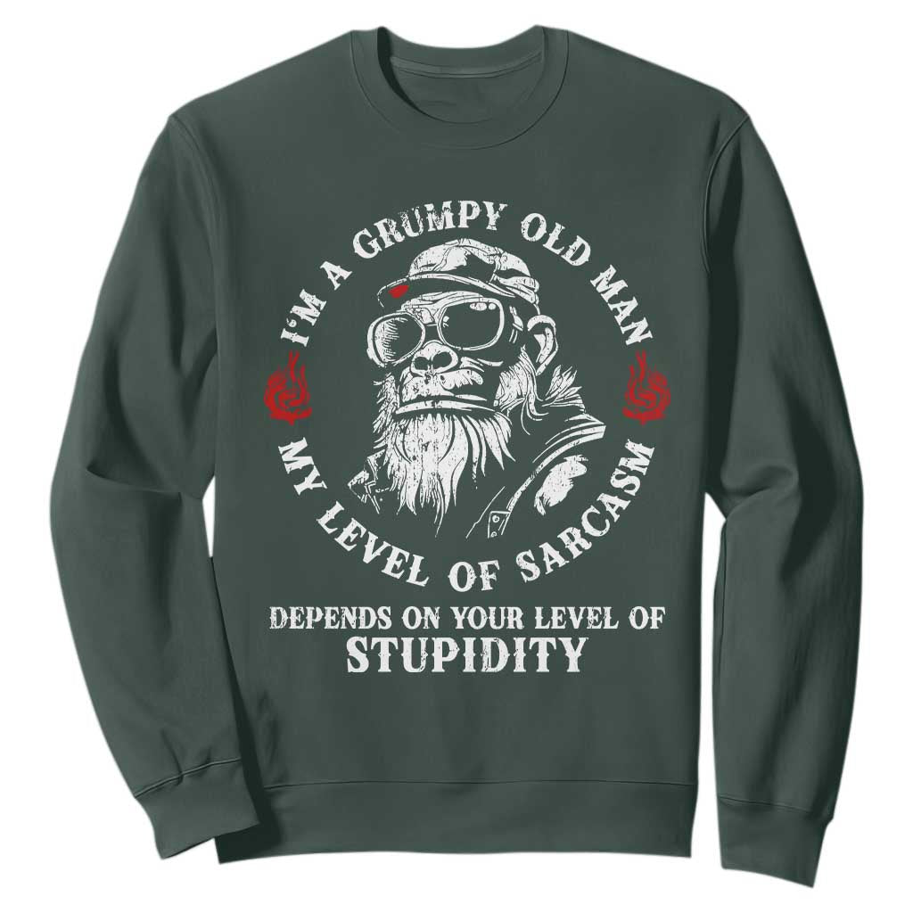 I Am A Grumpy Old Man My Level Of Sarcasm Depends On Your Level Of Stupidity Sweatshirt Funny Old Bigfoot