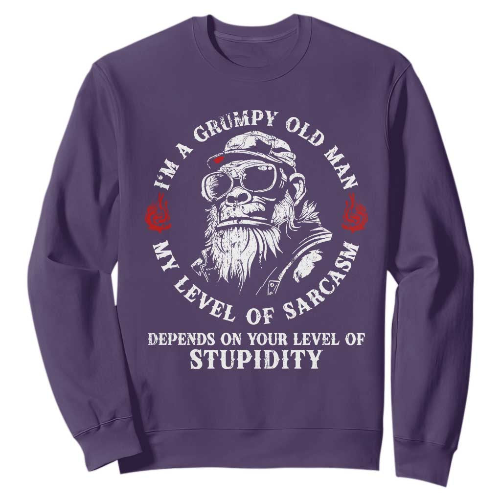 I Am A Grumpy Old Man My Level Of Sarcasm Depends On Your Level Of Stupidity Sweatshirt Funny Old Bigfoot